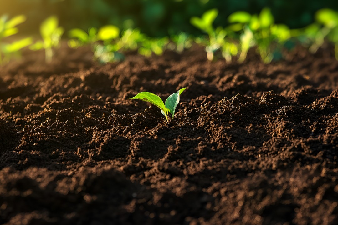 从土壤污染到健康守护，J9国际平台 S350 让重金属检测 “快” 人一步