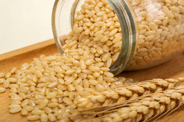 速测精准，守护食安｜以硬核技术破解快检难题，为食品安全筑牢智能防线